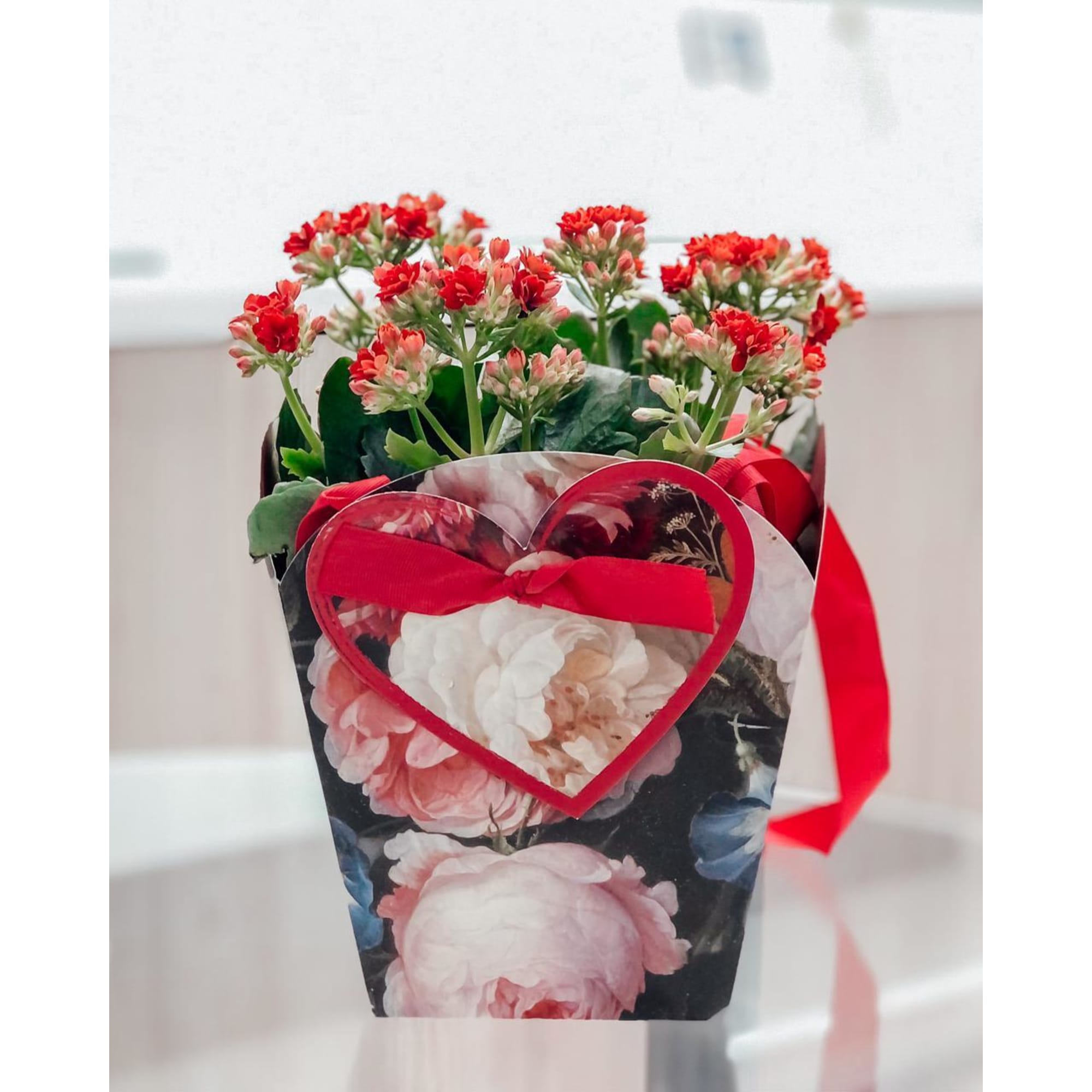 84450734 Каланхое Розалина подарок сумка ø15 h27.5 см Santreyd  - Вид №4