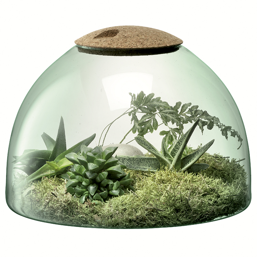 G1580-22-161 Флорариум canopy 22см LSA International  - Вид №2