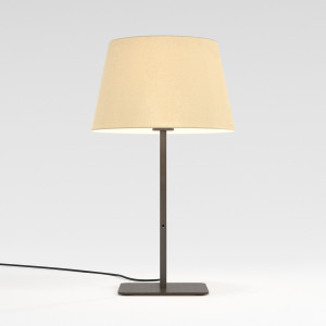 Стальная настольная лампа