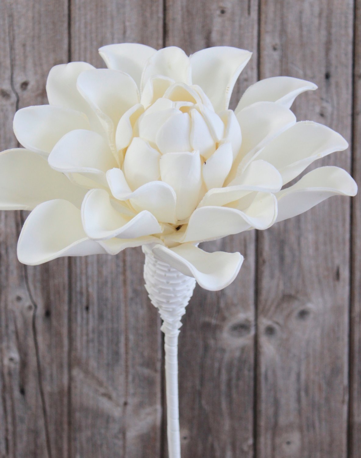 7921 777 a3 Искусственный мягкий цветок 'Blossom', 95 см, белый H-andreas  - Вид №1