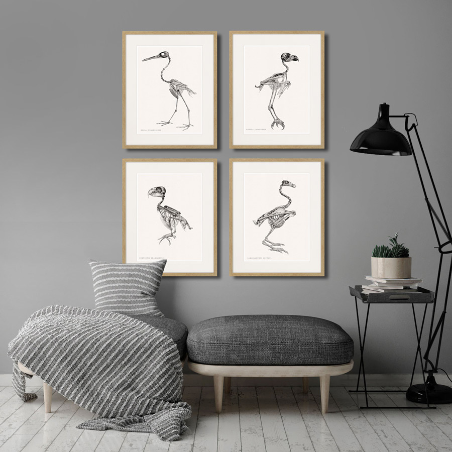 Картина в деревянной раме 52х42 см Chrysotis Braziliensis, 1867г. КАРТИНЫ В КВАРТИРУ  264403 Белый;коричневый;разноцветный  - Вид №2