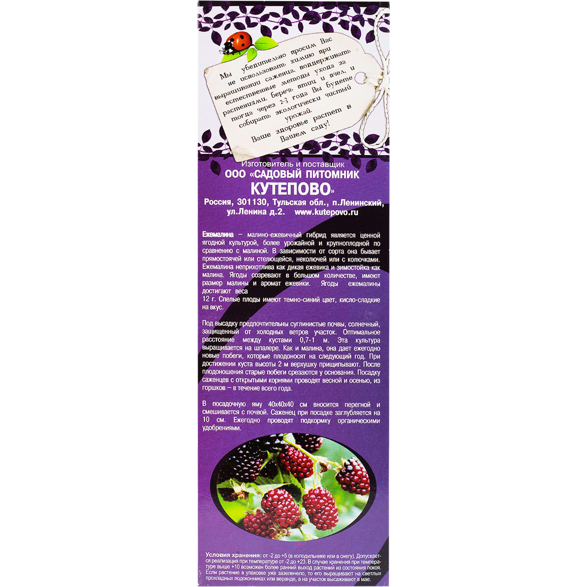 82155343 Ежемалина «Логанберри» в коробке Santreyd  - Вид №2