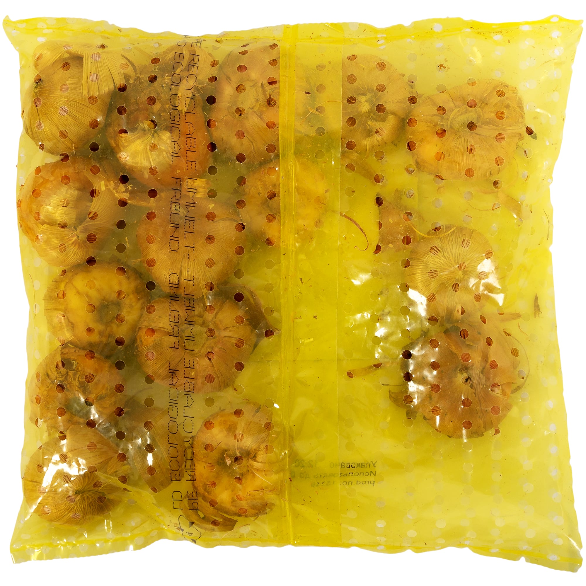 17512483 Гладиолус красный и жёлтый микс Santreyd  - Вид №1