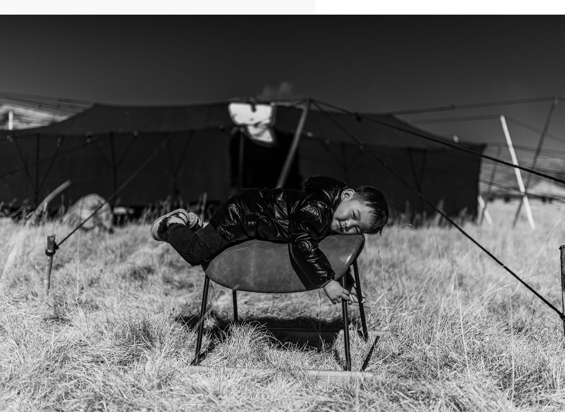 Як кожаный стул KVN Design Furniture Nomadic ARCH-00003430