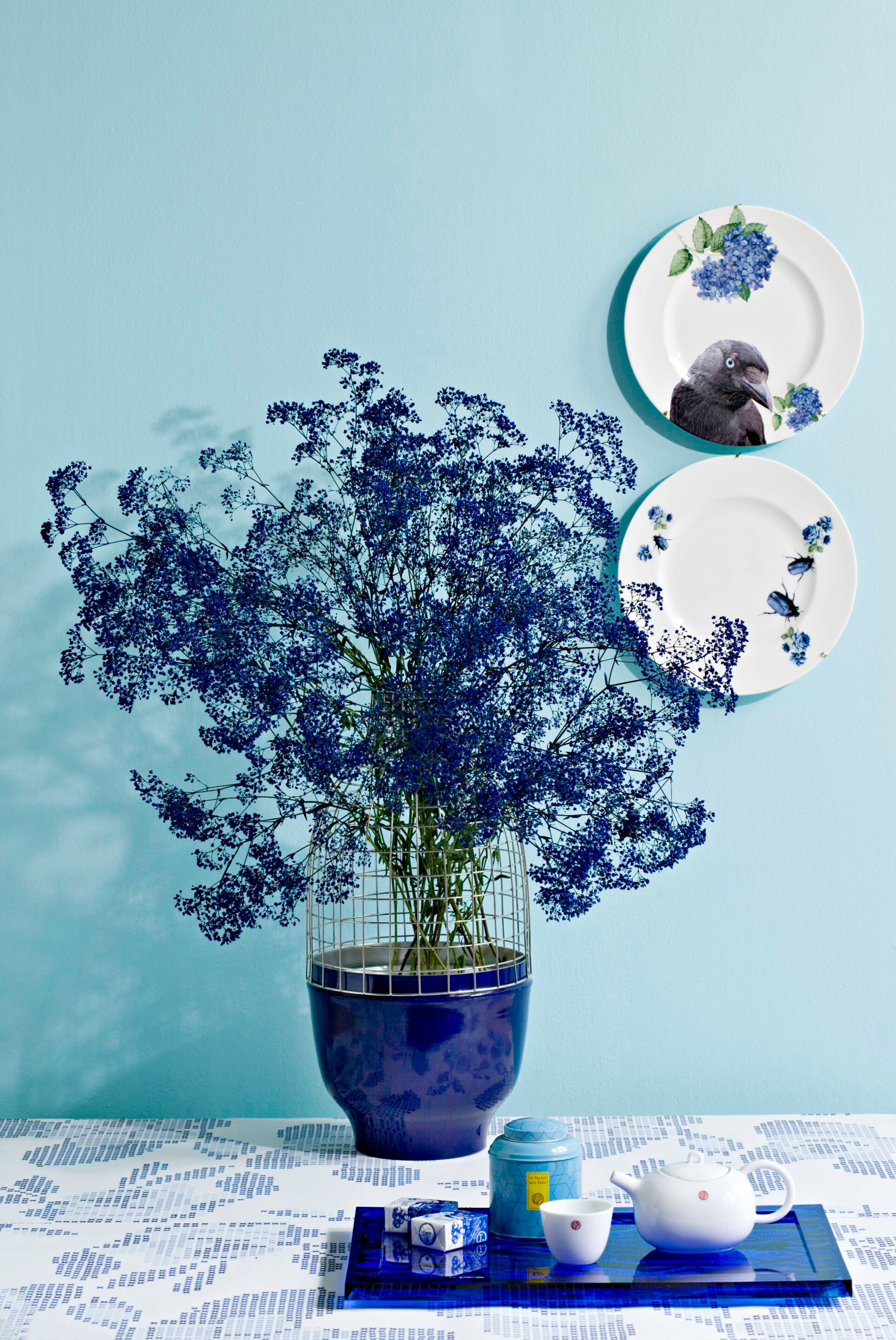 ARCH-00100770 Лоток для хранения яиц Kartell Италия DUNE - Вид №2