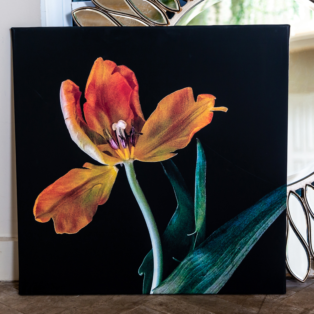 896520107_2728 Картина «Marigold» (холст, галерейная натяжка) Object Desire  - Вид №1