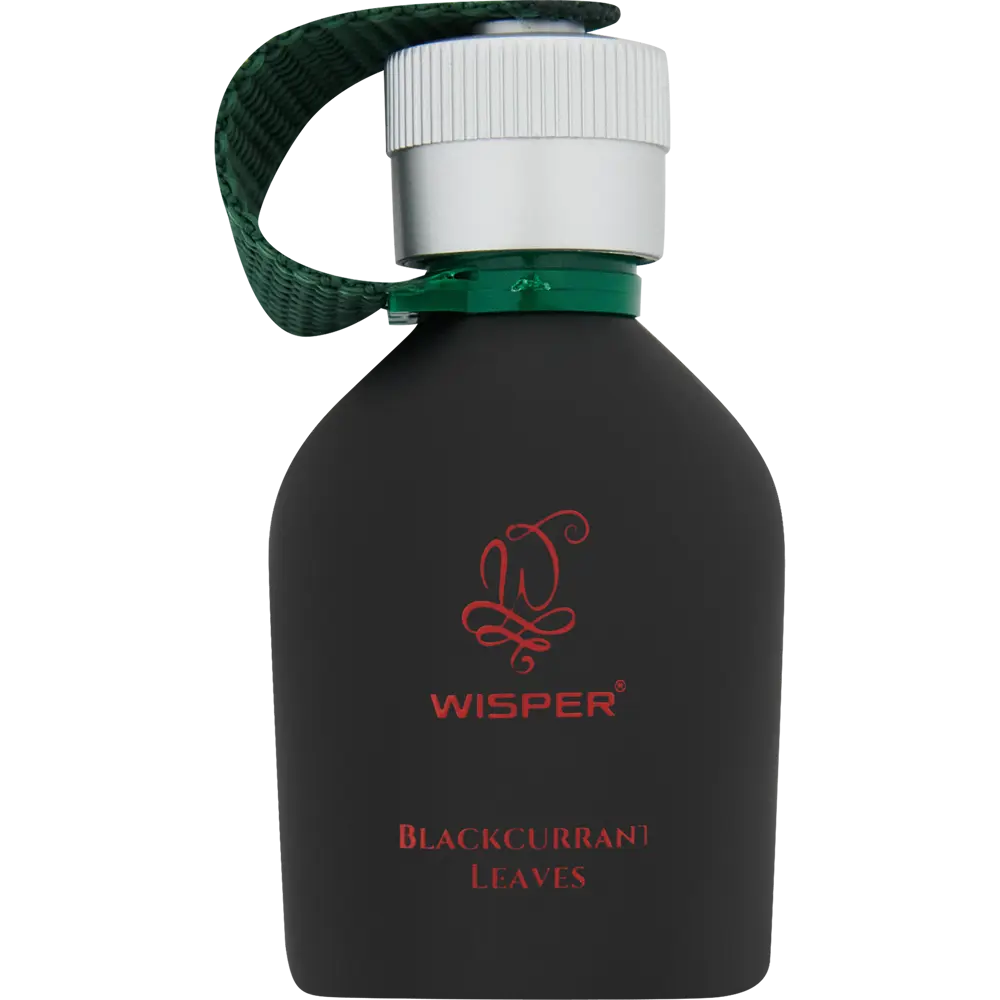 84802361 Ароматизатор Wisper Blackcurrant Leaves STLM-0055348  - Вид №3