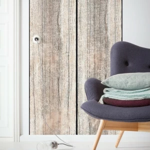 6038A-VD1-Vintage-Rose-Panel Фотообои Komar Infinity 2.5х1 м