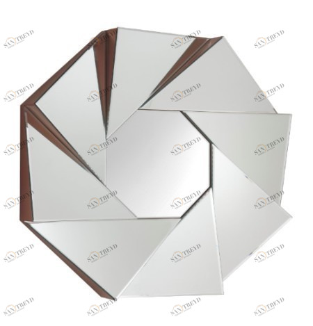 Зеркало декоративное настенное TG Apeturel PUSHA ДИЗАЙНЕРСКИЕ 062685 Зеркальный 