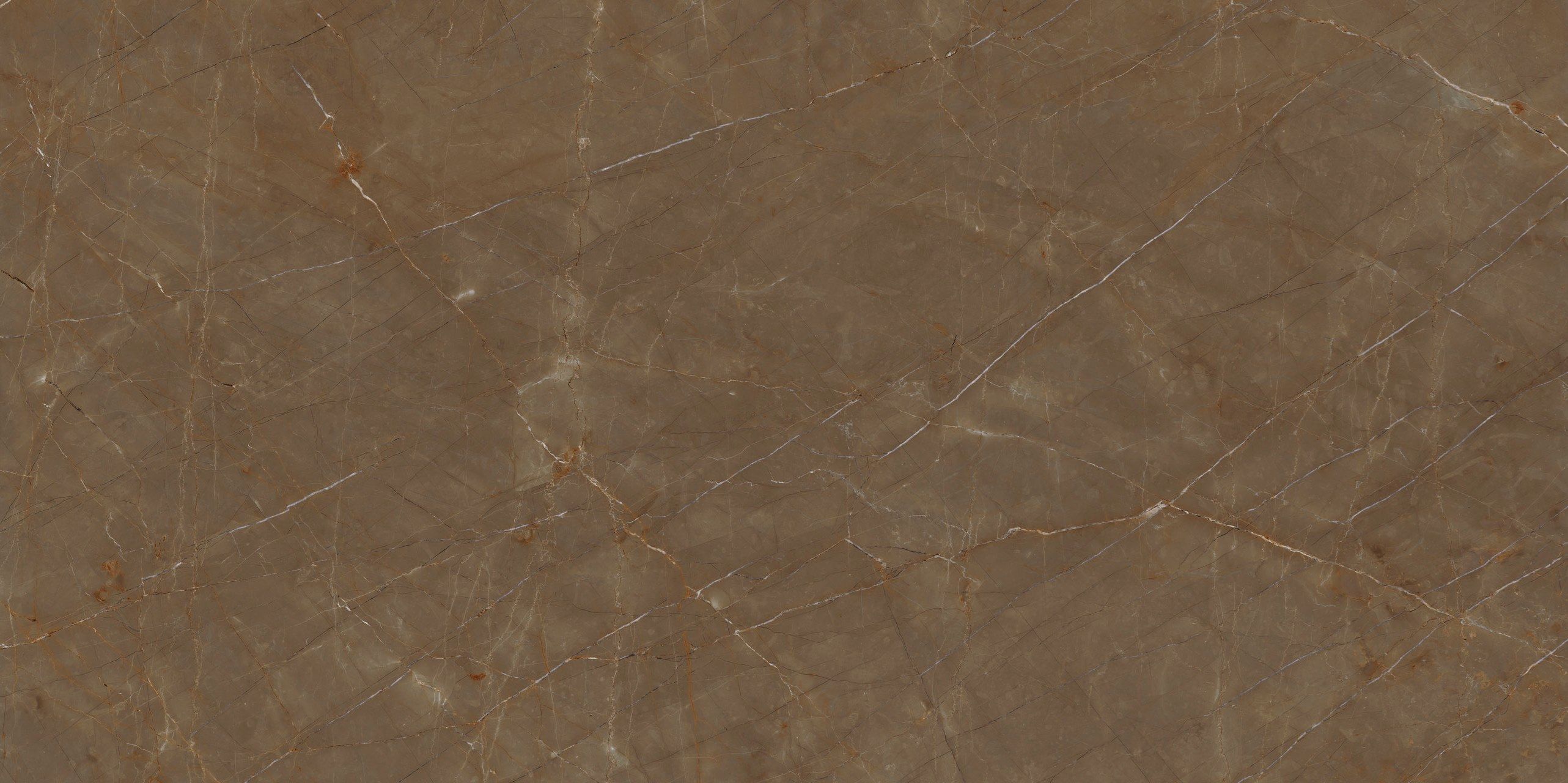 Пол / керамогранит с мраморным эффектом Fiandre Marmi Maximum ARCH-00100113 - Вид №4