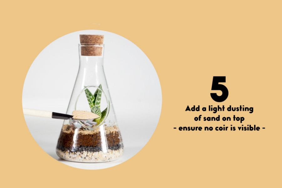 Террариум Chemistry SUCK UK SKTERRCHEM1 - Вид №14