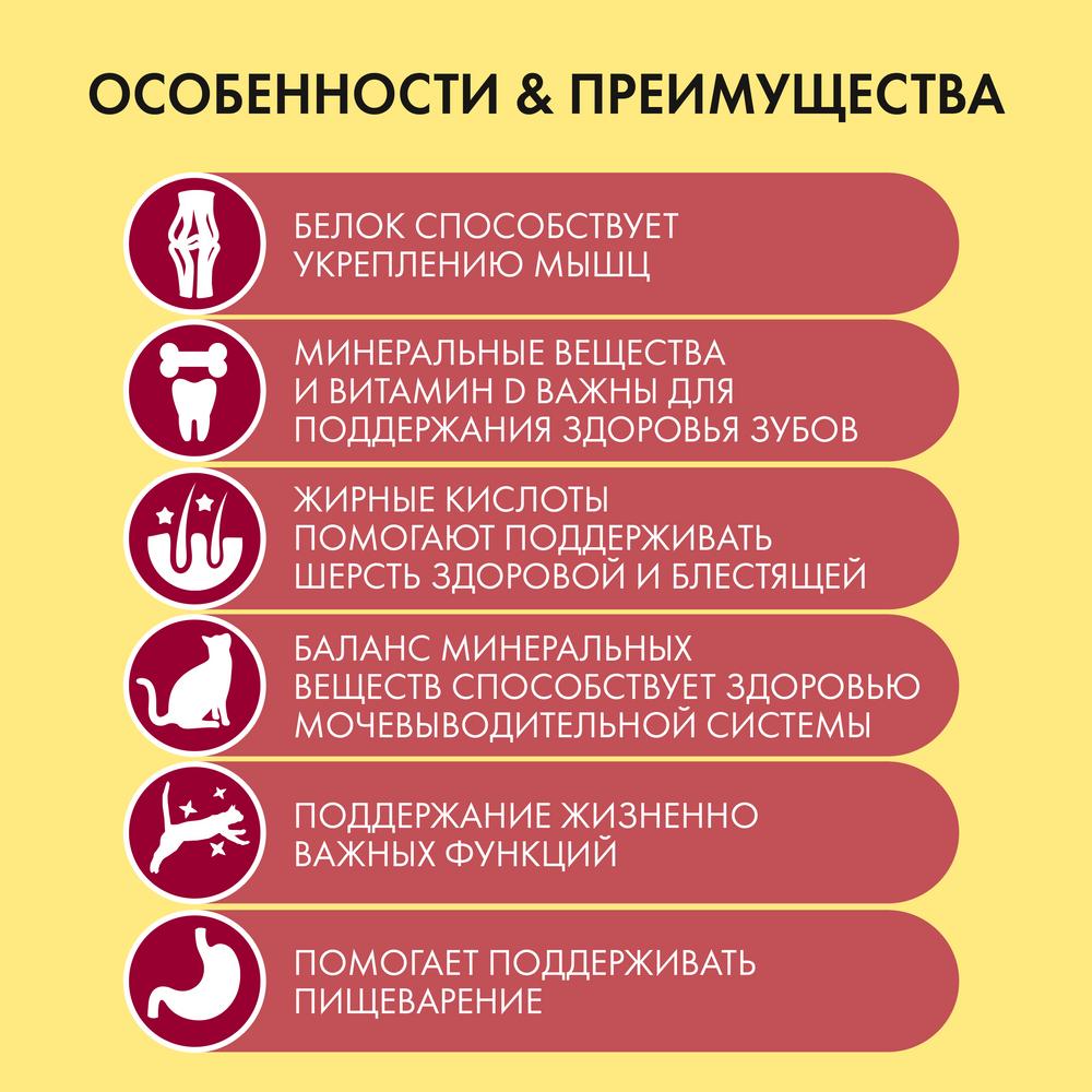 ПР0051845 Корм для кошек с курицей и полезными овощами, сух. 300 г Friskies  - Вид №5