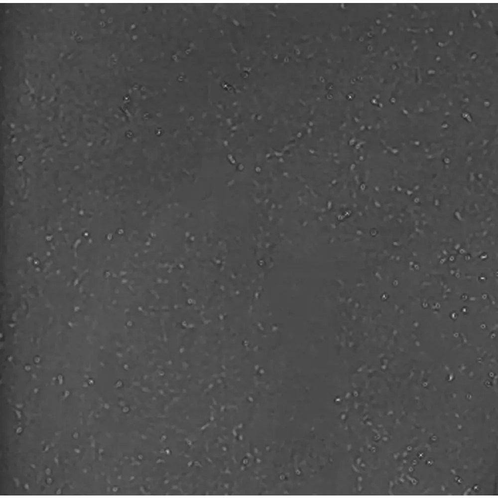 GRANFEST Smart GF-SM 430 - Врезная кухонная мойка из мраморной крошки черного цвета 89364736 STLM-0884721 - Вид №3