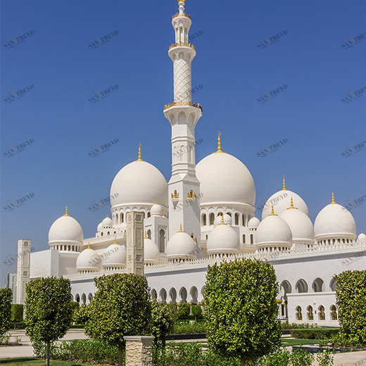 C1-196 Фотообои DIVINO Collection C 2.7х2 м C1196