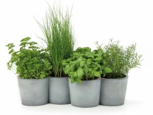 KONSTANTIN SLAWINSKI Горшок из бетона