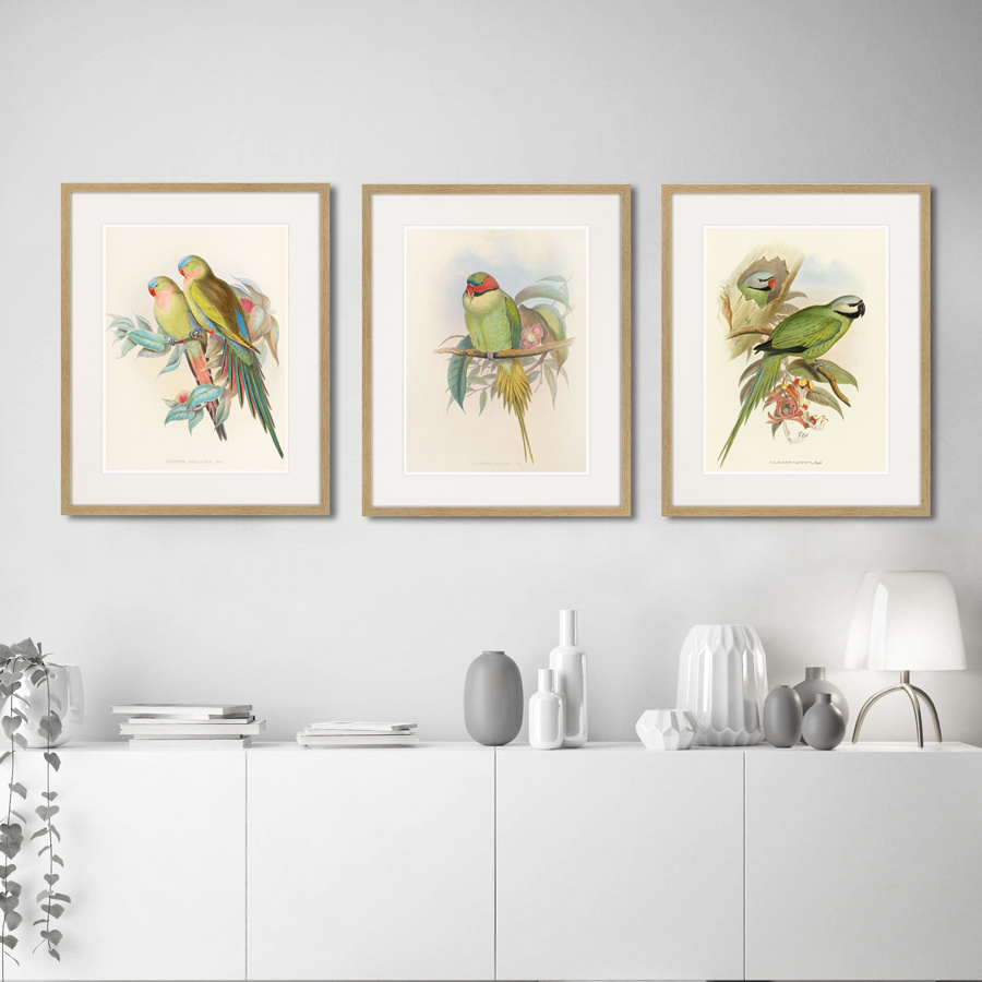 Картина в раме 52х42 см Love parrots, 1850г. КАРТИНЫ В КВАРТИРУ  264533 Желтый;коричневый;разноцветный  - Вид №2