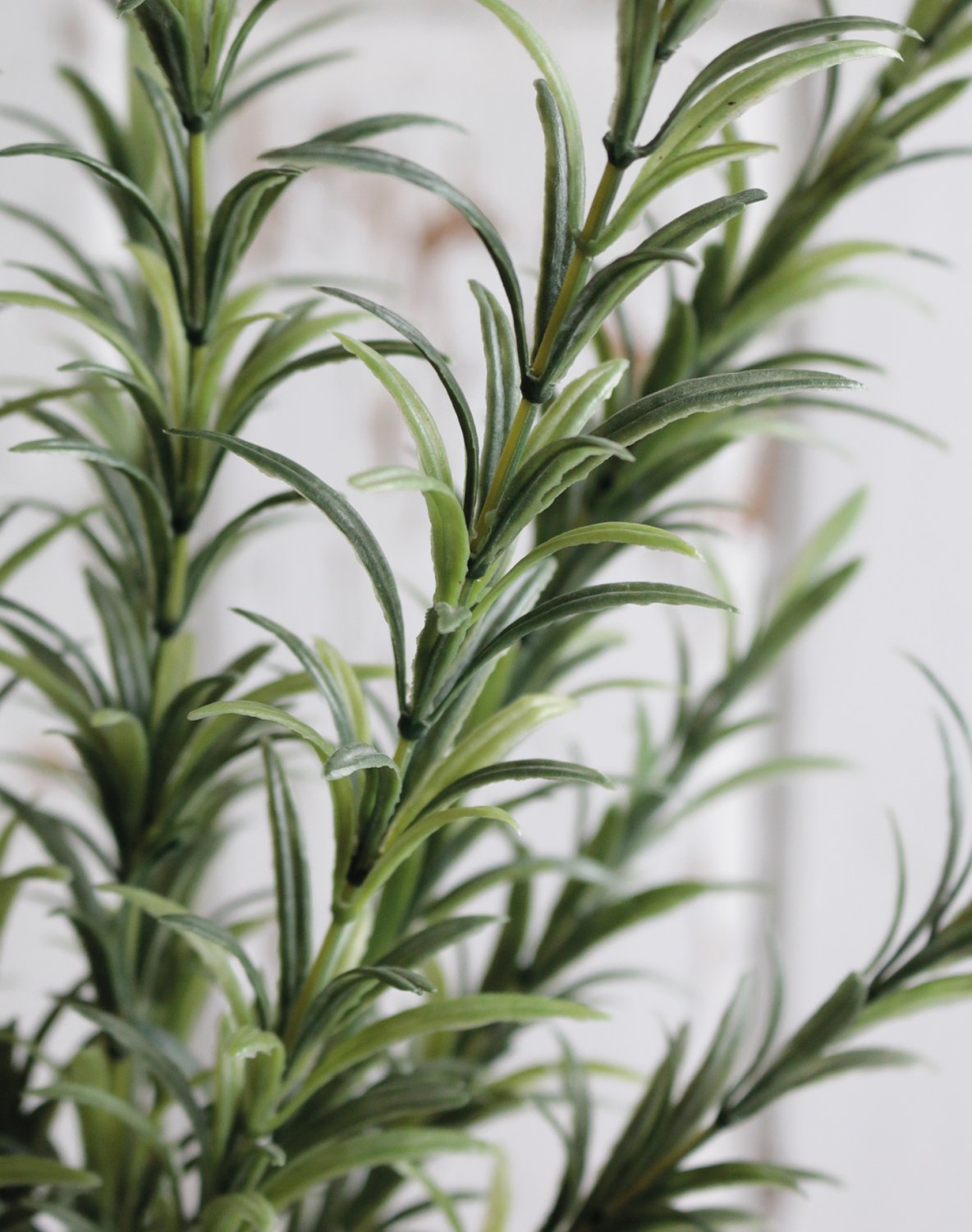 5279 883 a2 Искусственный куст розмарина, 41 см, зеленый H-andreas  - Вид №4