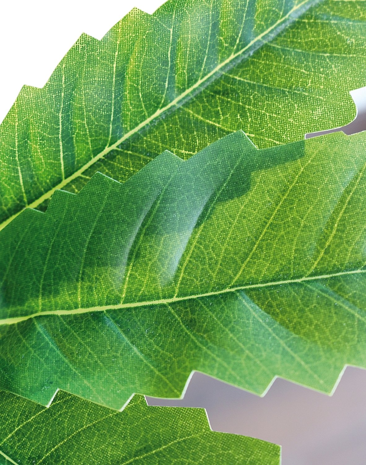 5481 883 a3 Искусственная шефлера, горшок, 160 см, зеленый H-andreas  - Вид №3