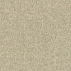528534 Обои Rasch Mandalay