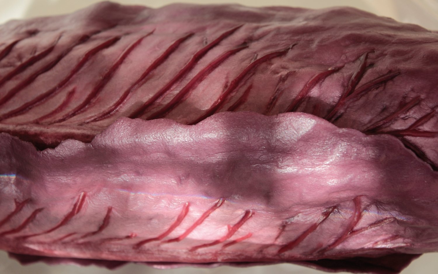 7092 492 a3 Искусственная пекинская капуста, 27 см, бордово-черная H-andreas 