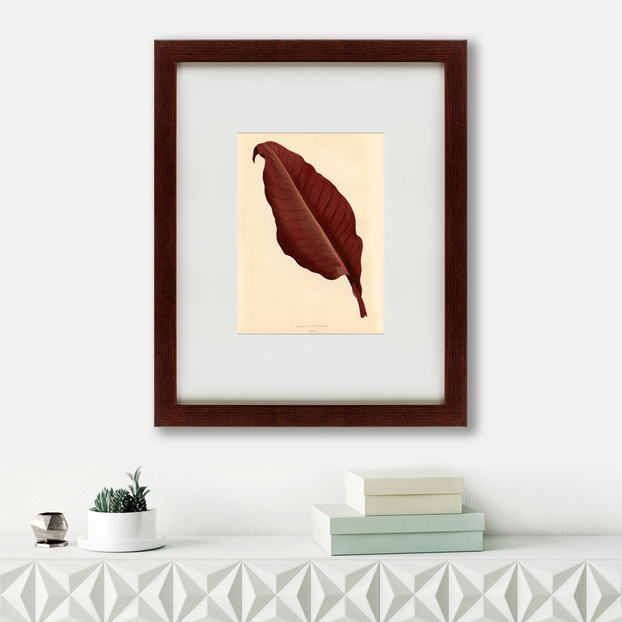 Картина в раме 52х42 см The dark red leaf, 1881 КАРТИНЫ В КВАРТИРУ  135660 Коричневый;красный  - Вид №1