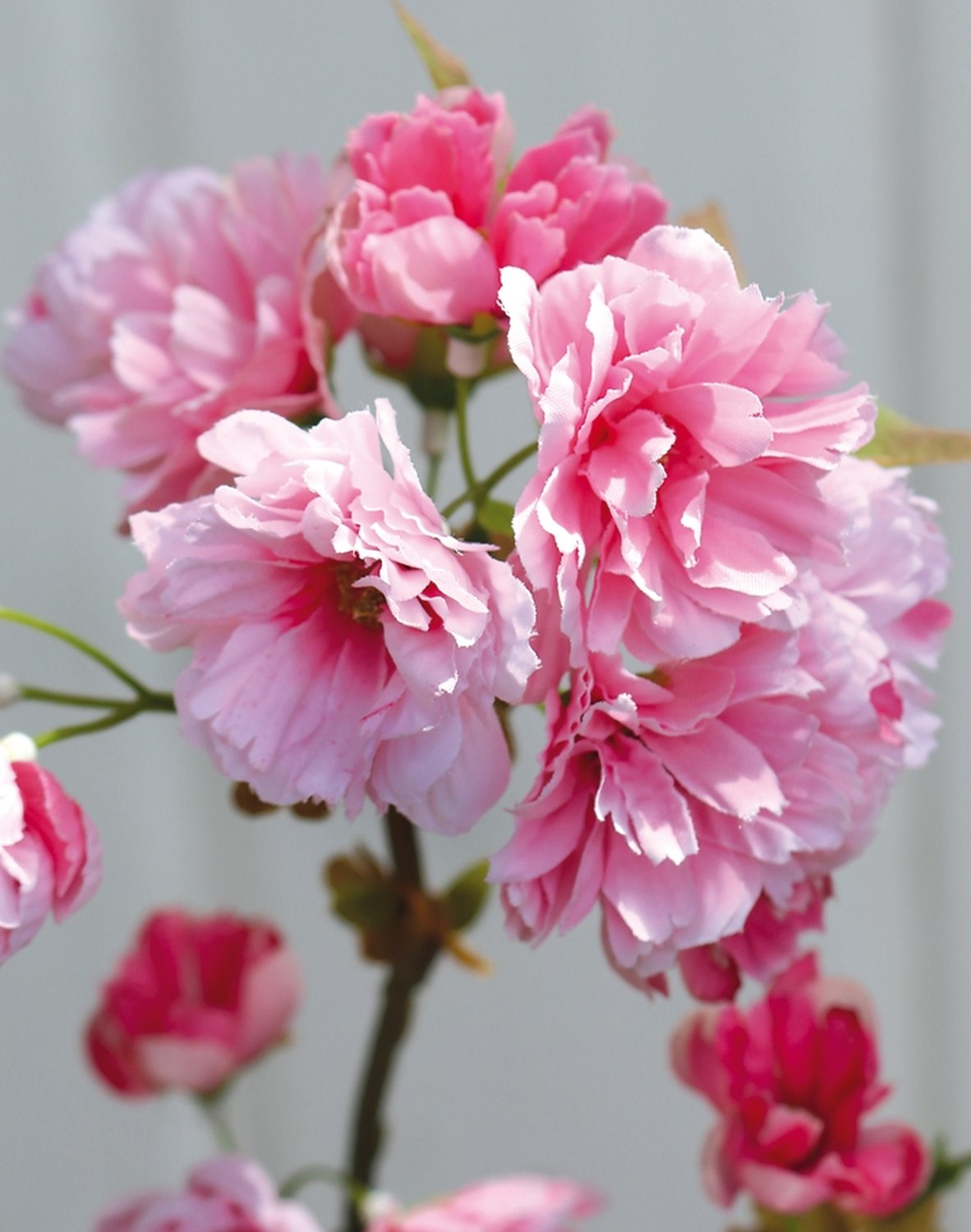 3087 515 a3 Ветка сакуры, 76 см, розовая H-andreas 