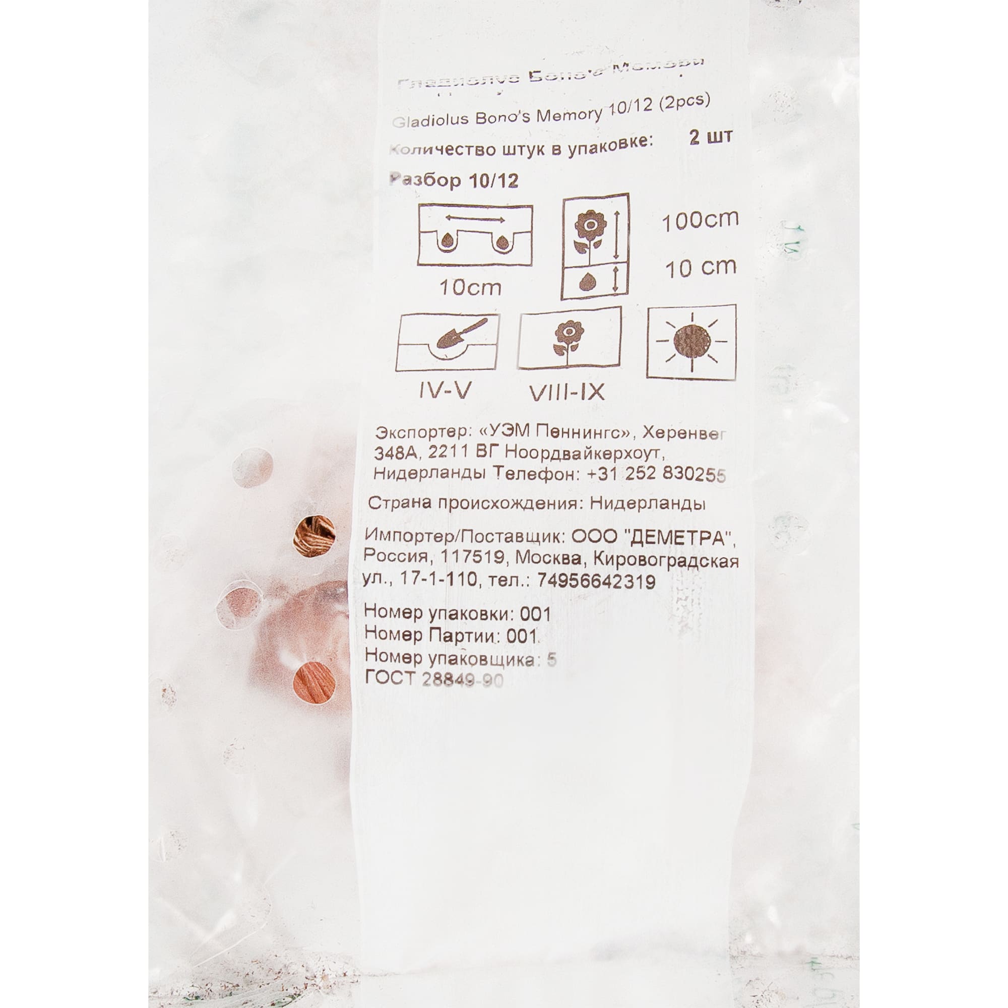 83760973 Гладиолус Бонос Мемори луковица 10/12 Santreyd 