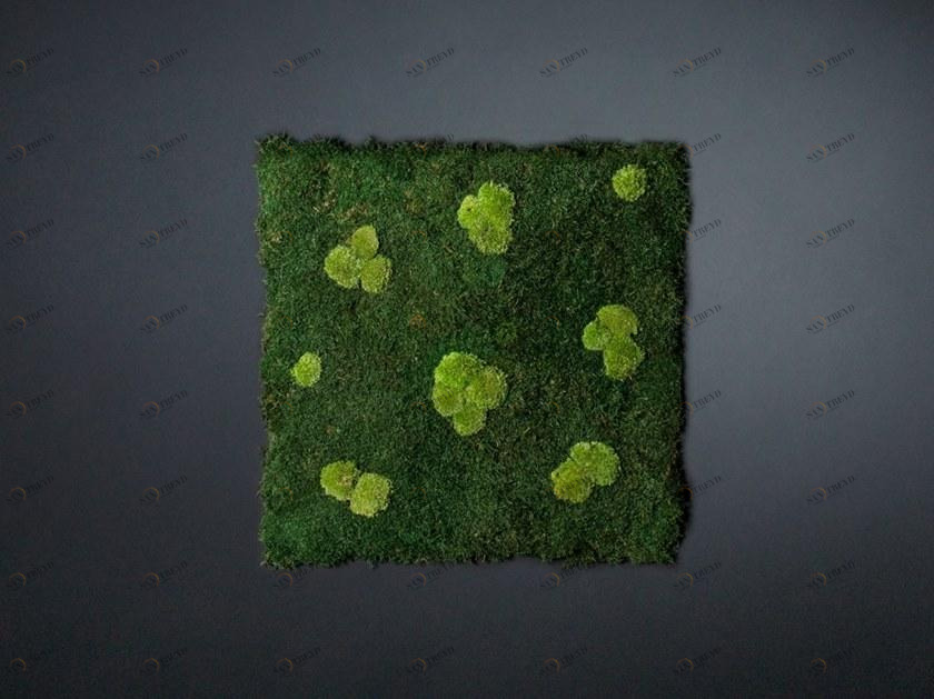 VGnewtrend Овощной каркас Vertical garden 7522716.00 