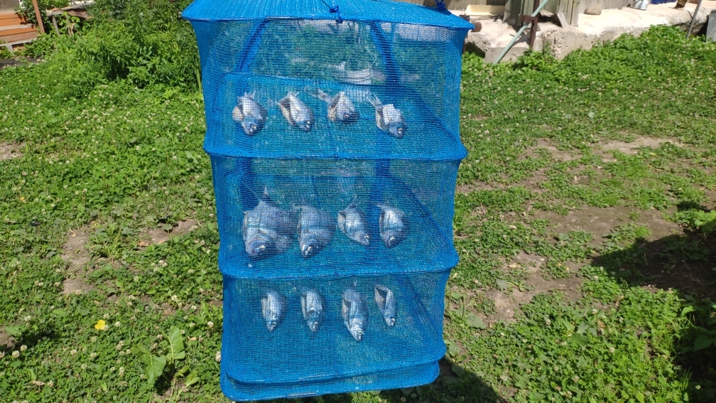 2402 Сушилка универсальная для рыбы, грибов и ягод 40*40*55 LAB.Space  - Вид №3