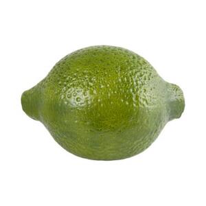 Арт-объект / Indoor glazed sculpture