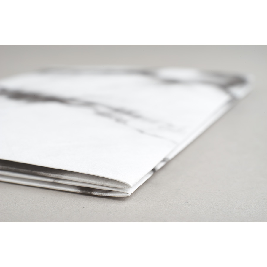 NC-124 Обложка на паспорт - new moonlight; сделан из tyvek® New wallet  - Вид №6