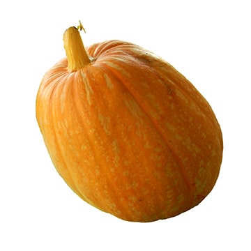 Тыква Мускатная 7 - 10 кг Santreyd 28564 - Вид №1