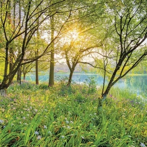 8-524-Spring-Lake Фотообои Komar Scenics Edition 2 2.54х3.68 м