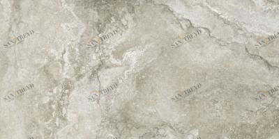 Termae Grey 25х50 Keraben sun-id-320026