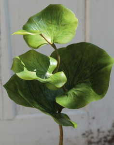 5388 883 a3 Стебель искусственного эвкалипта, 40 см, зеленый H-andreas