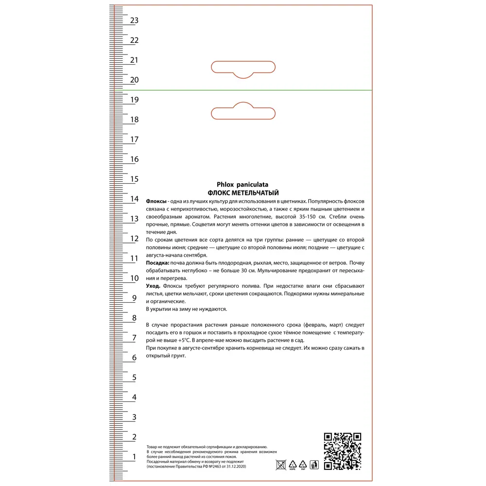 Флокс метельчатый Илларион ПОИСК STLM-2108602 - Вид №1