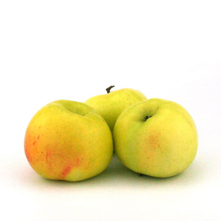 Яблоки Антоновка Santreyd 8788