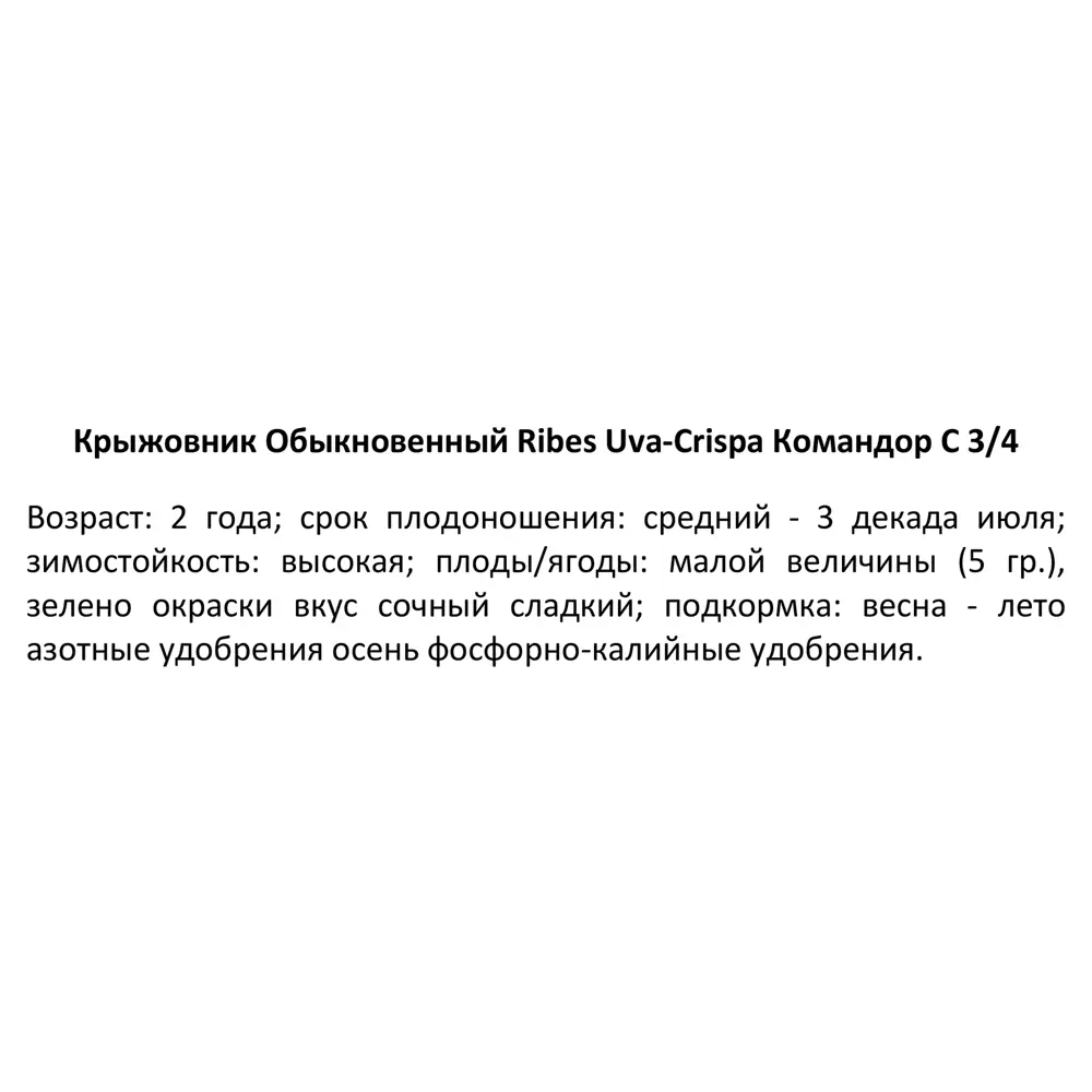 Крыжовник «Командор» С3-С4 PLANTMARKET STLM-2142645 - Вид №2