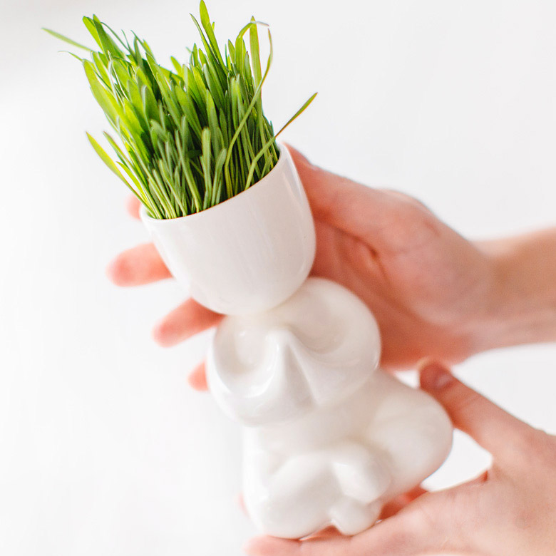 Набор для выращивания eco "Йог" ЭКОЧЕЛОВЕКИ  254571 Белый  - Вид №1