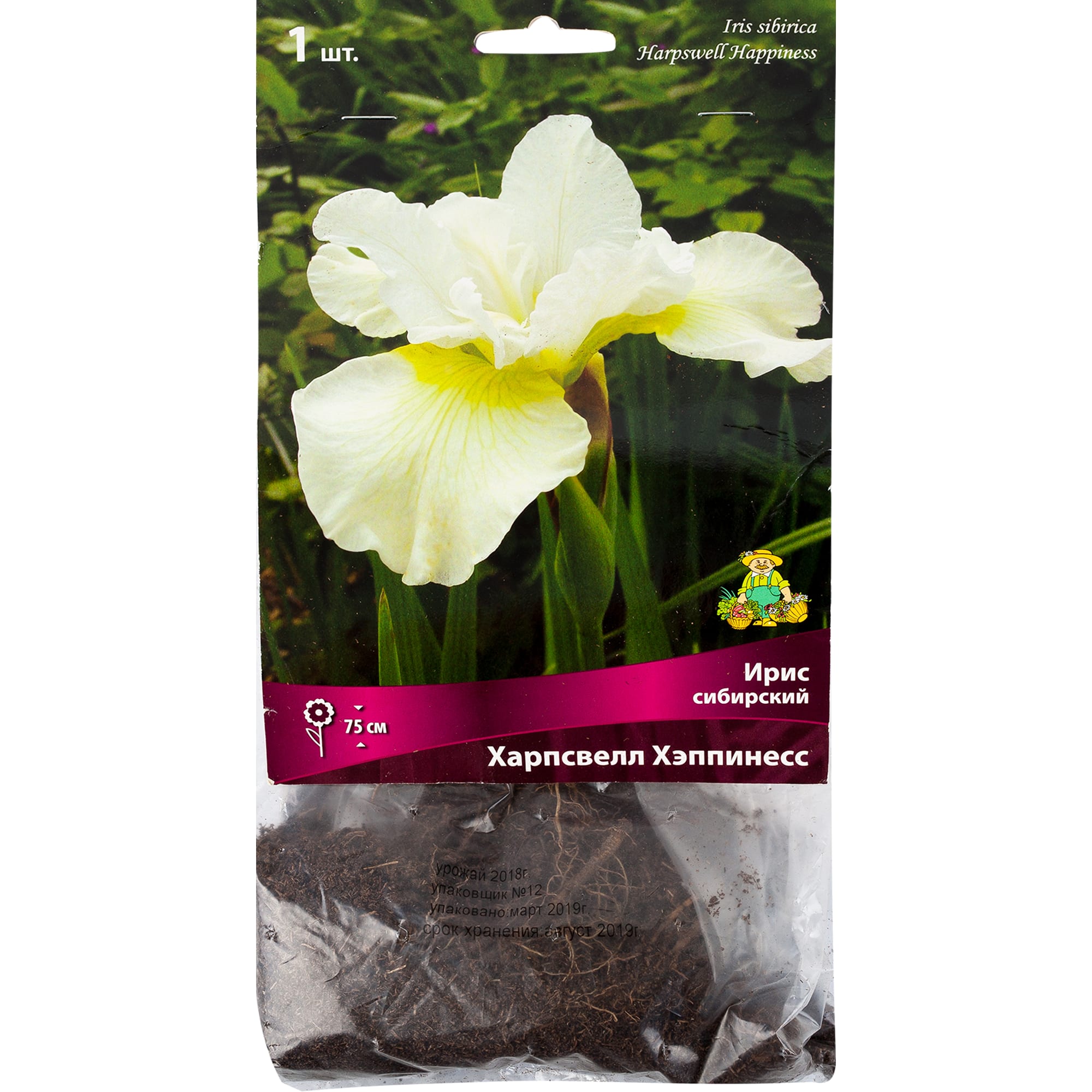 82118704 Ирис сибирский «Харпсвелл Хэппинесс», 1 шт Santreyd 