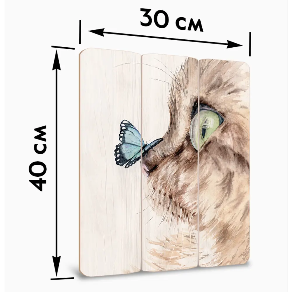Картина на МДФ Кот и бабочка 30x40 см POSTERMARKET STLM-2051879 - Вид №6
