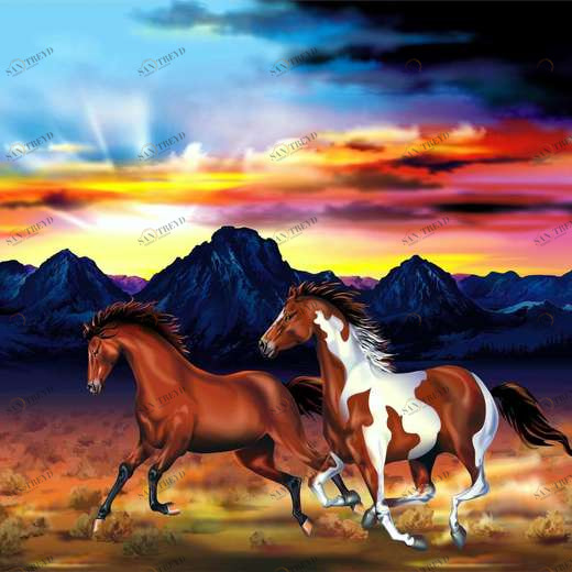 WP00843 Фотообои Verol Фотообои decoline 1х1 м