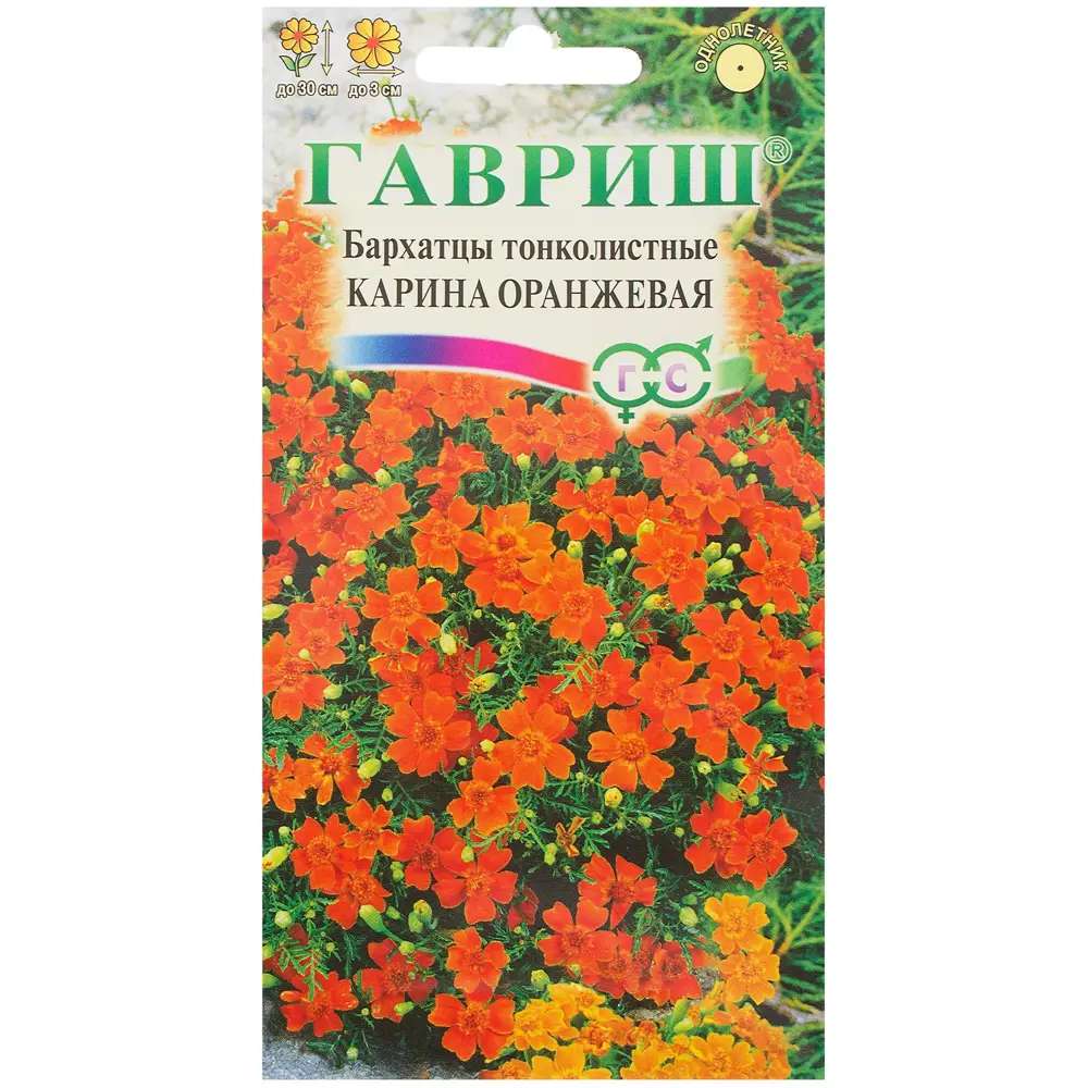 Бархатцы тонколистные «Карина» 0.05 г, цвет оранжевый 81933409 STLM-2202744 ГАВРИШ 