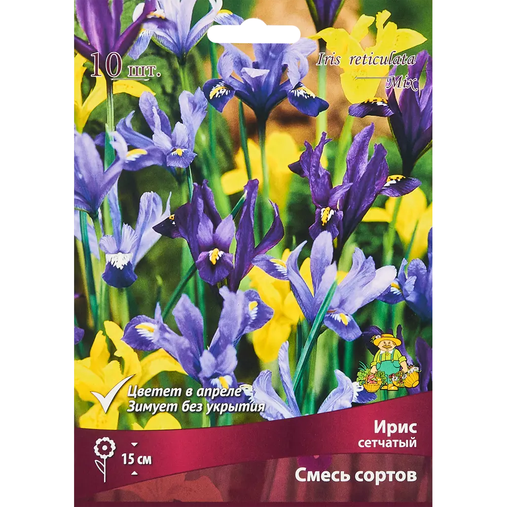 ПОИСК Ирис сетчатый микс - 10 луковиц для весеннего сада 88659085 STLM-1565284