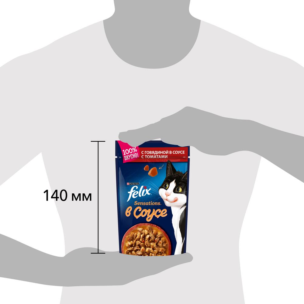 ПР0031784 Корм для кошек Sensations с говядиной в соусе с томатами, пауч 85 г FELIX  - Вид №9