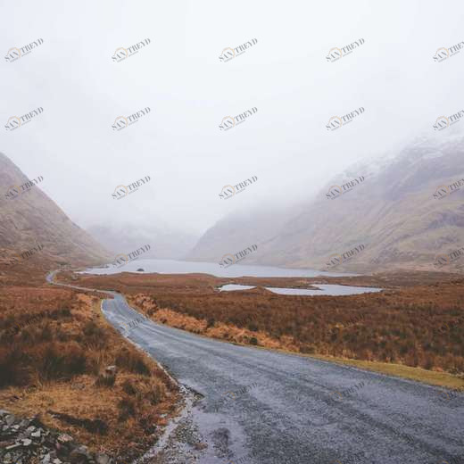 WP00485 Фотообои Verol Фотообои decoline 1х1 м