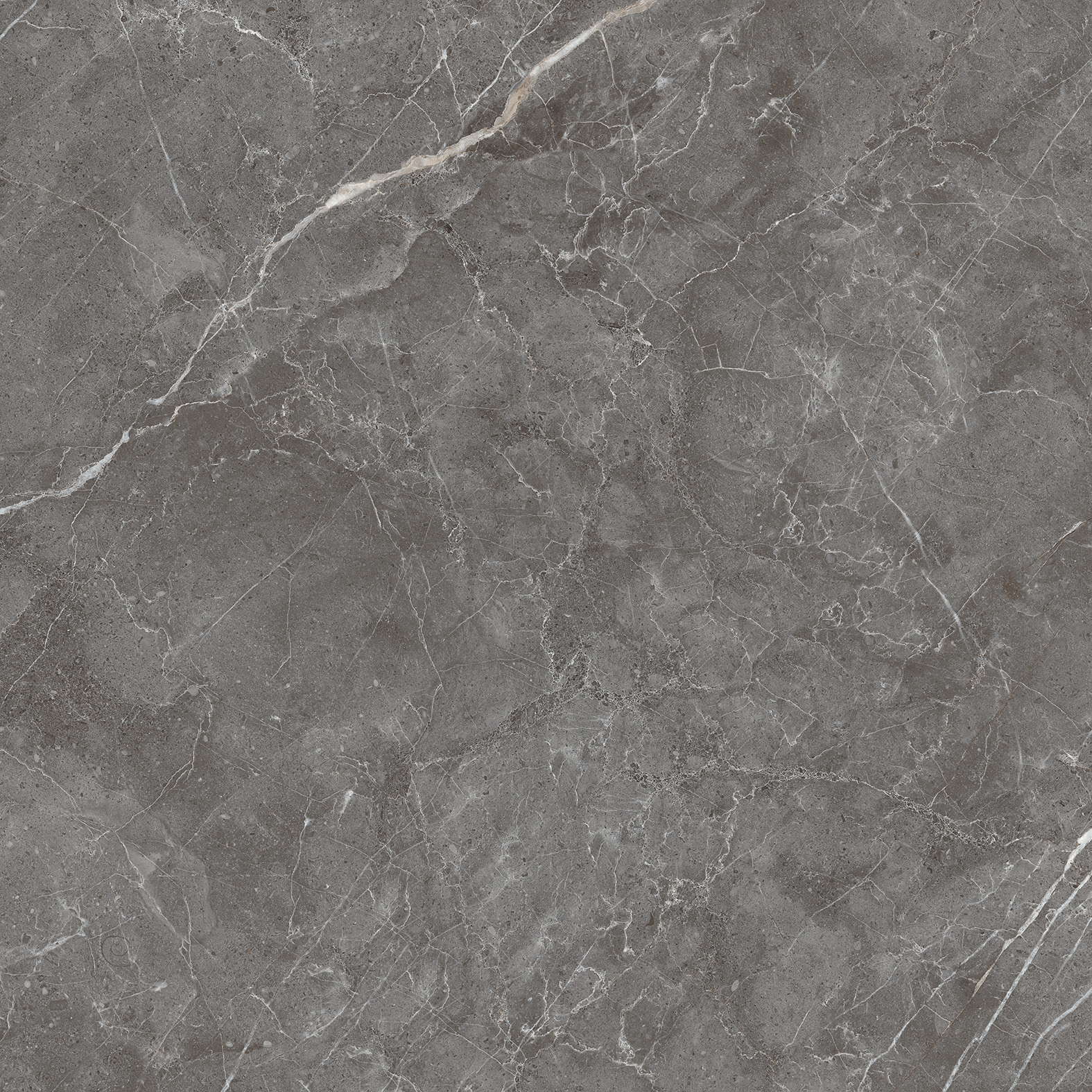 ESPERIA GRIGIO ARCADIA CERAMICA CR6001-A - Вид №7