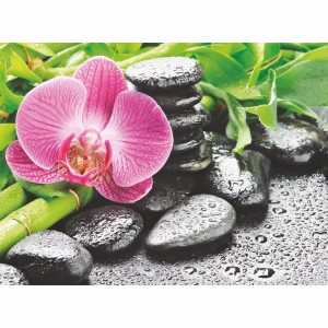 18087044 Фотообои бумажные «» 200х140 cм Блаженство