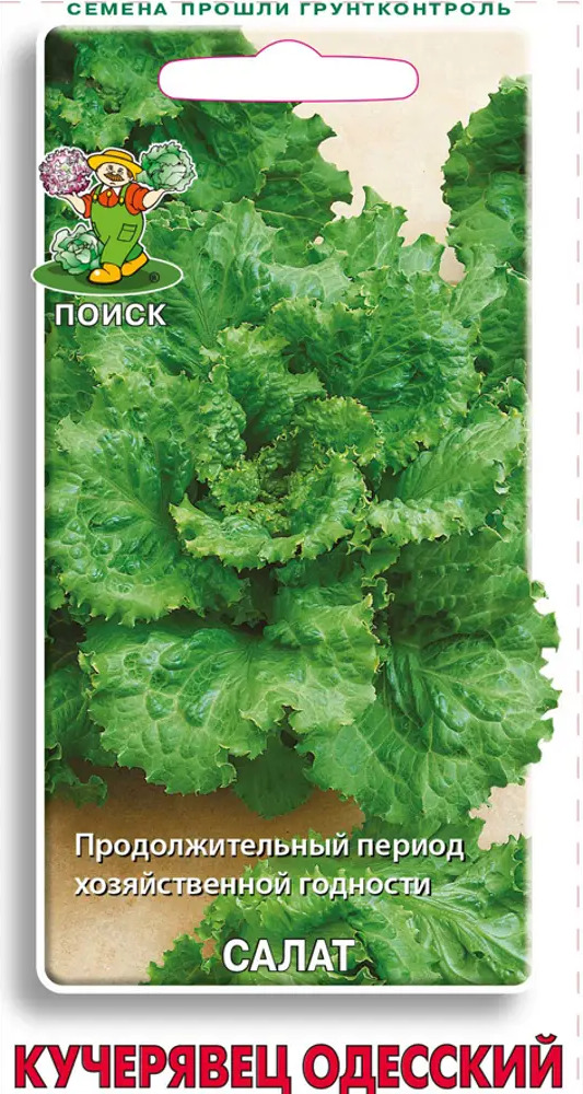 83227418 Семена Салат «Кучерявец Одесский» STLM-0039566