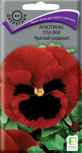 86218026 Семена цветов Поиск анютины глазки Красный кардинал STLM-0066957 Santreyd